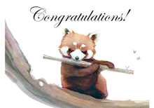 Load image into Gallery viewer, Congratulations - Natural Spa Bath Gift Set - Gift Good Vibes