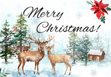 Load image into Gallery viewer, Merry Christmas Couples Holistic Gift Box - Small - Gift Good Vibes