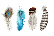 Load image into Gallery viewer, Feather Card - Couples Holistic Gift Box - Any Occasion - Large - Gift Good Vibes