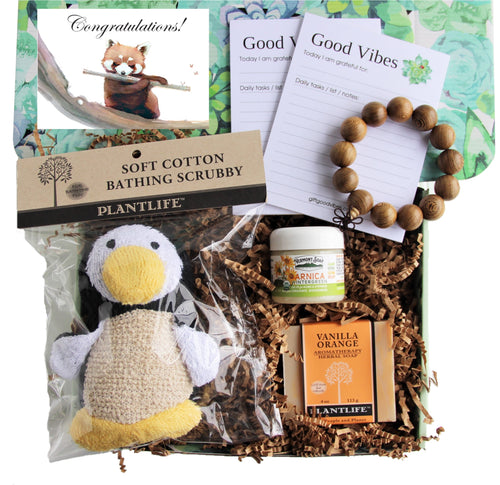 New Mom and Baby Holistic Gift Box - Gift Good Vibes