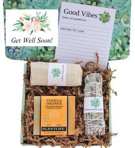 Healing Vibes Succulent Gift Box, Care Package for Her Get Well